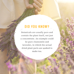 Botanical medicine chamomile lavender TEA